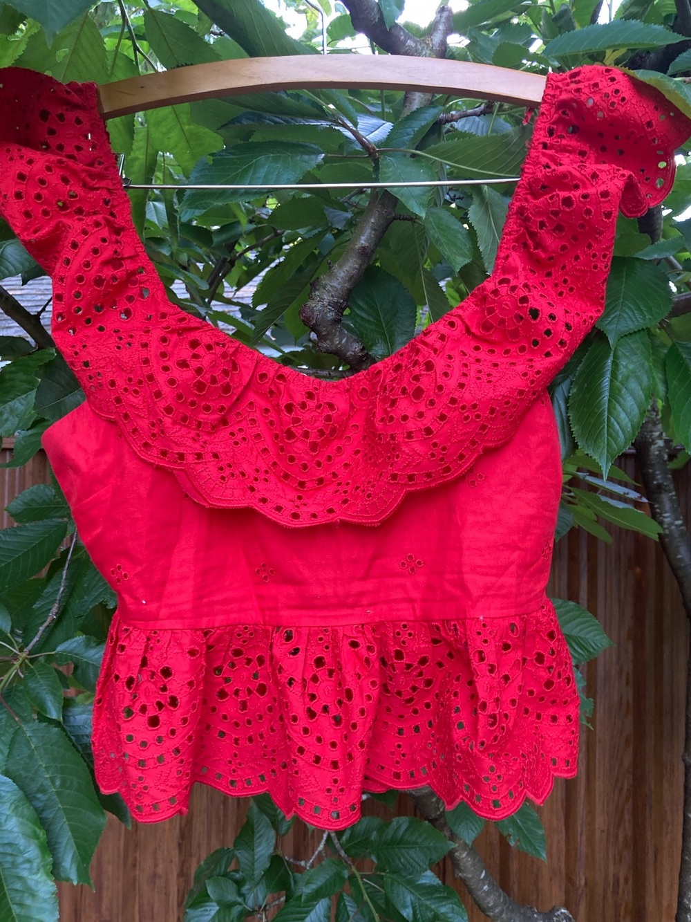 Red Eyelet Ruffle Crop Top